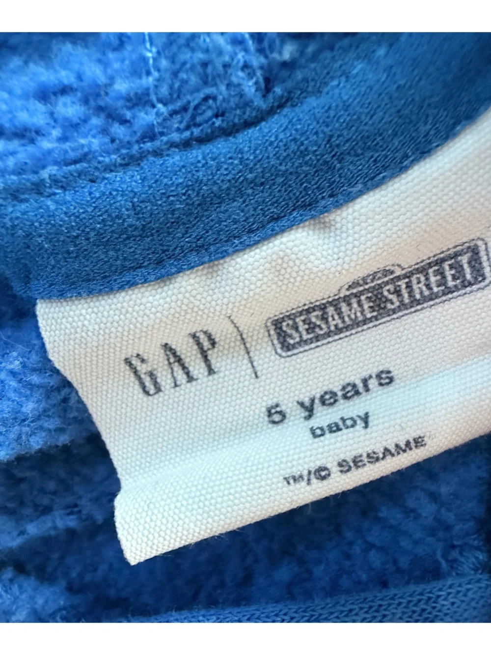 GAP 5T Blue Cookie Monster Hooded Sweatshirt